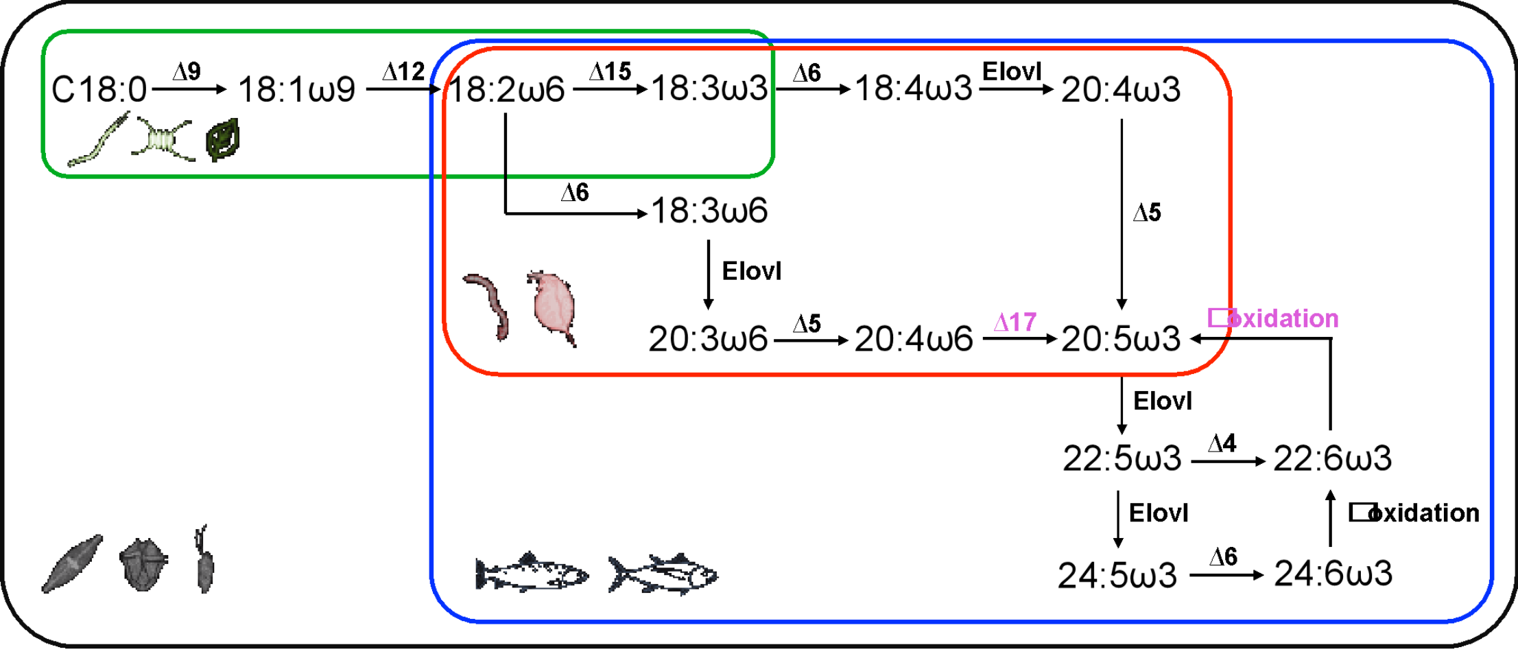 2AB7E
